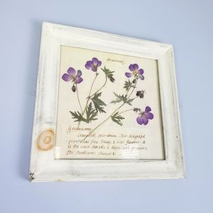 Geranium Floral Framed Print